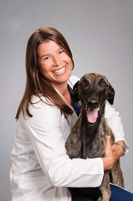 Bluegrass Veterinary Vision - Louisville, KY - Board-certified Veterinary  Eye Care