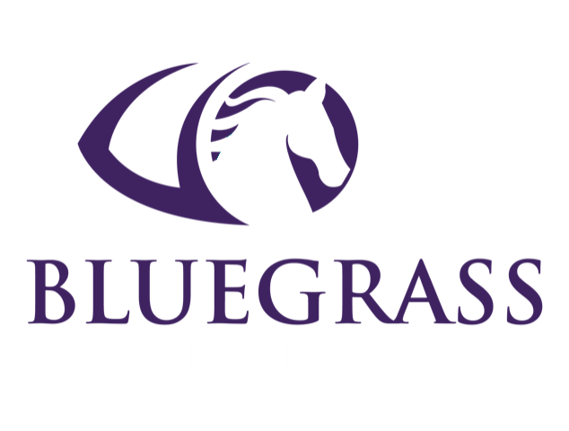 Bluegrass Veterinary Vision Logo